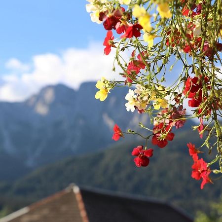 Fewo Baurechthof Lägenhet Goderschach Exteriör bild